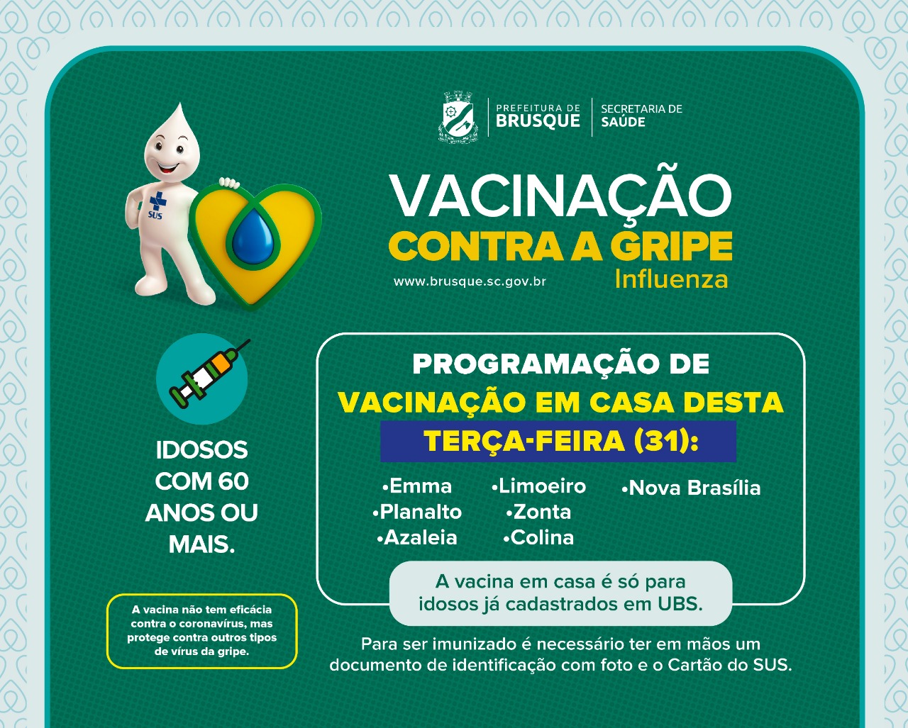 Nova etapa de vacinação contra Influenza (H1N1) ocorre nesta terça-feira (31)