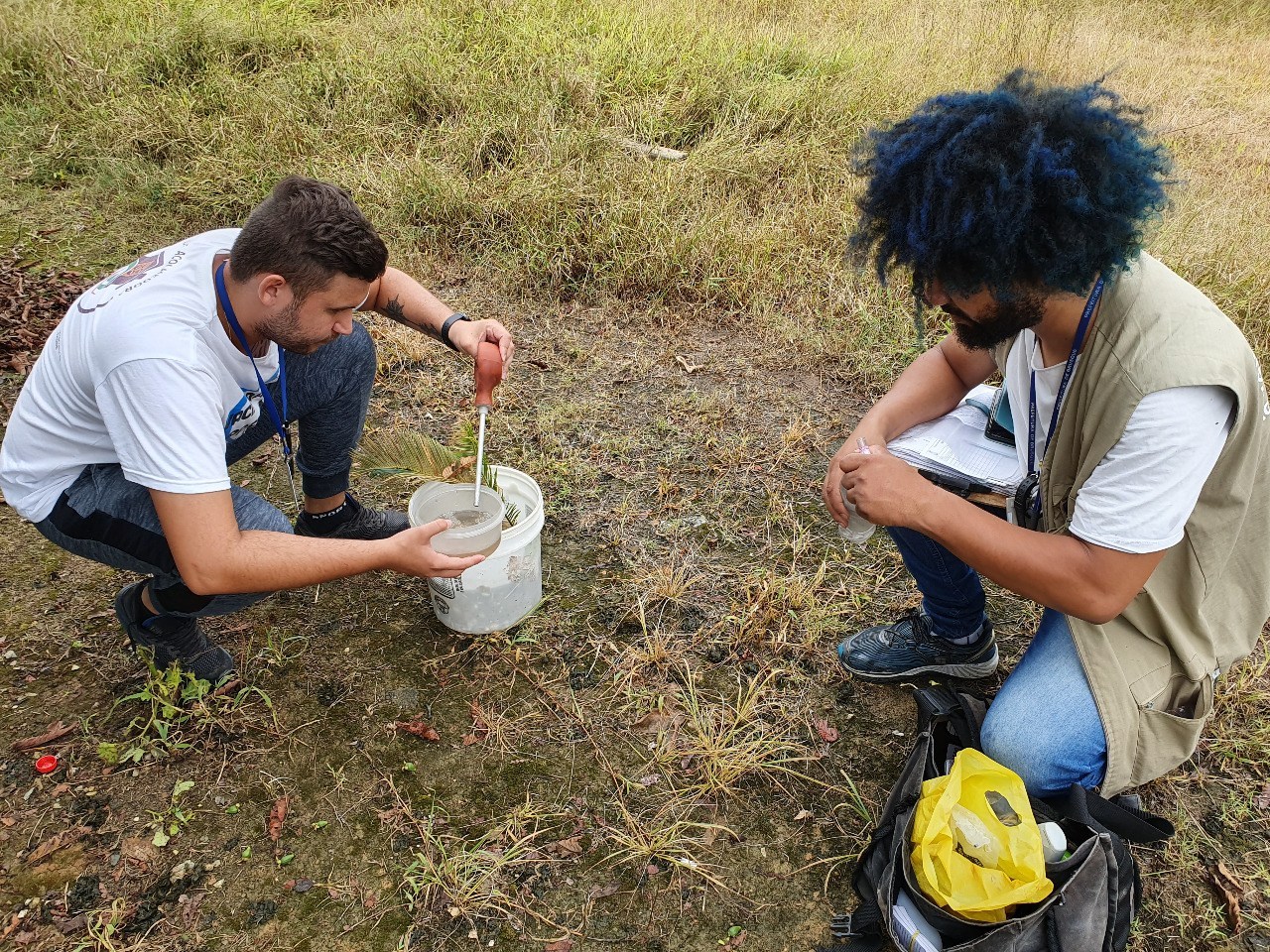 Combate à dengue: Agentes de endemias voltam a visitar residências