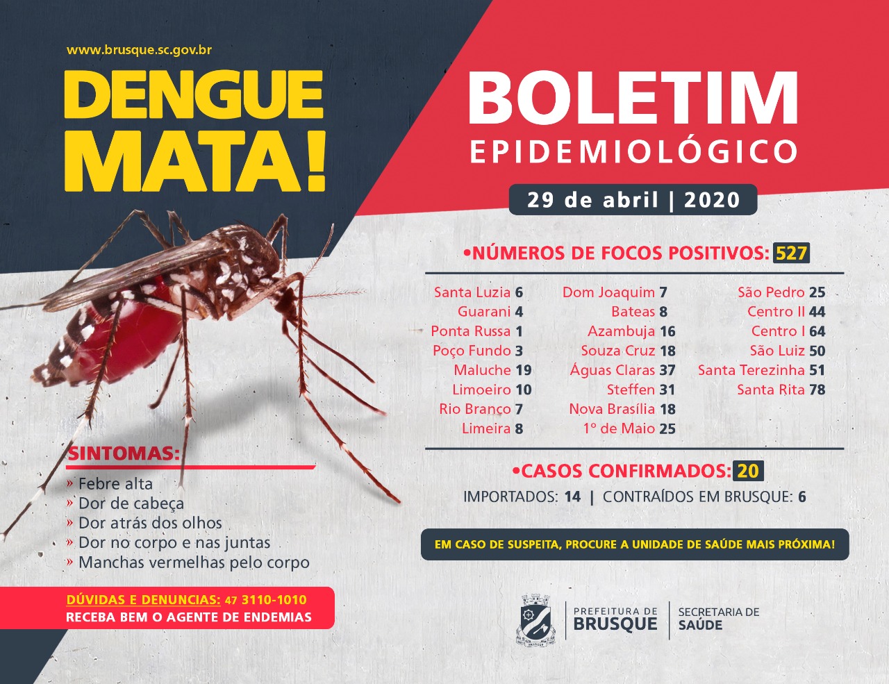 Brusque possui 20 casos confirmados de dengue