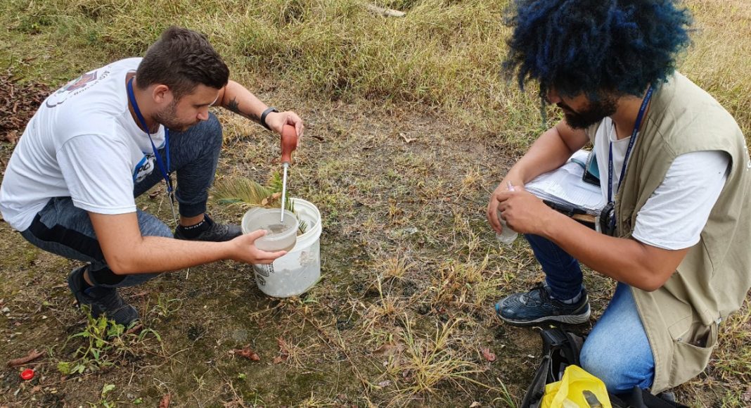 Bairros São Luiz e Santa Rita são considerados infestados de focos do mosquito Aedes aegypti