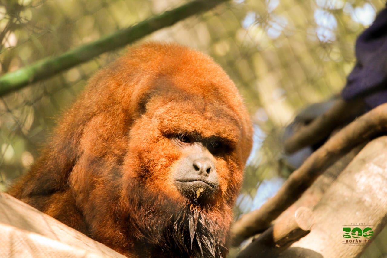 Zoobotânico participa de projeto nacional de educação ambiental