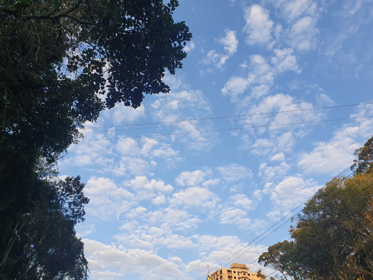 Avenida Hugo Schlosser será interditada neste domingo (26)