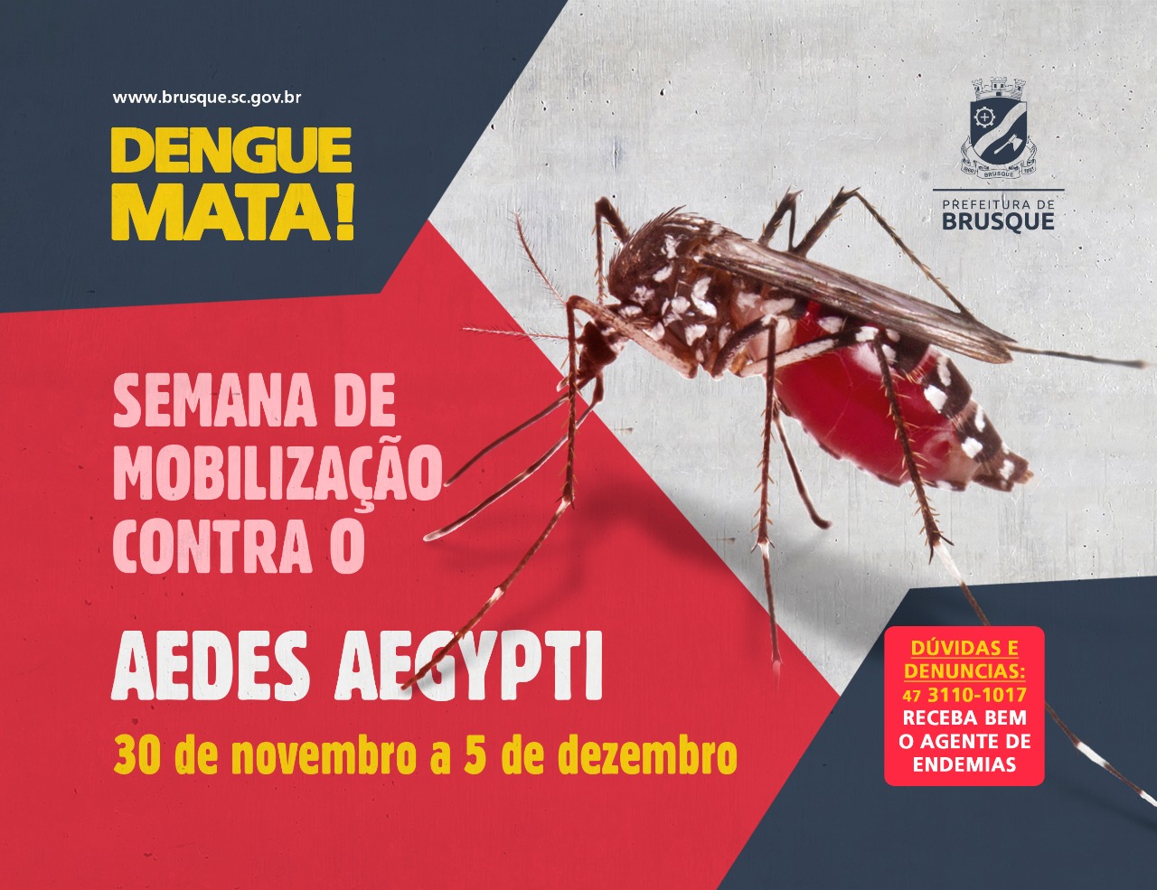 Brusque realiza semana de Mobilização contra Dengue