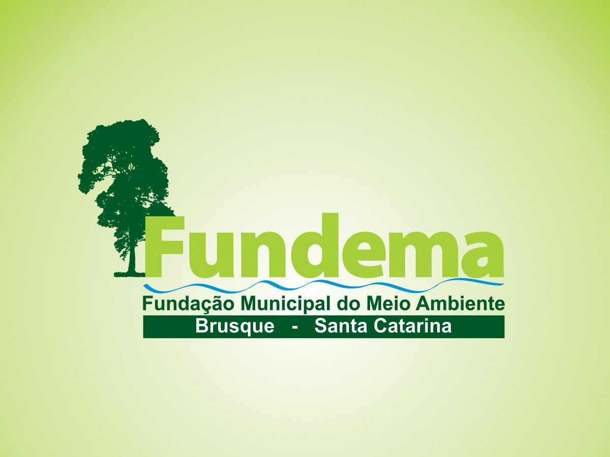 Com prêmio internacional, Fundema tem ano positivo apesar de pandemia