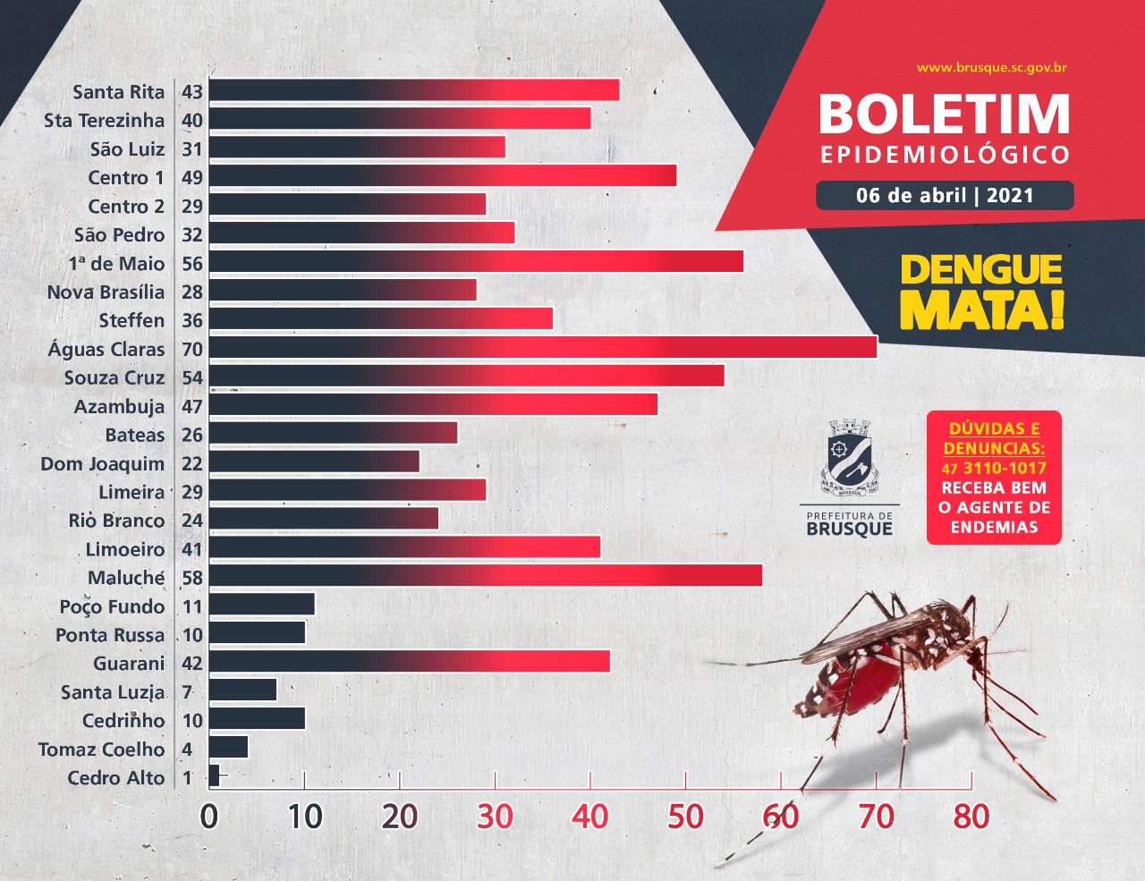 Brusque contabiliza 800 focos de Dengue