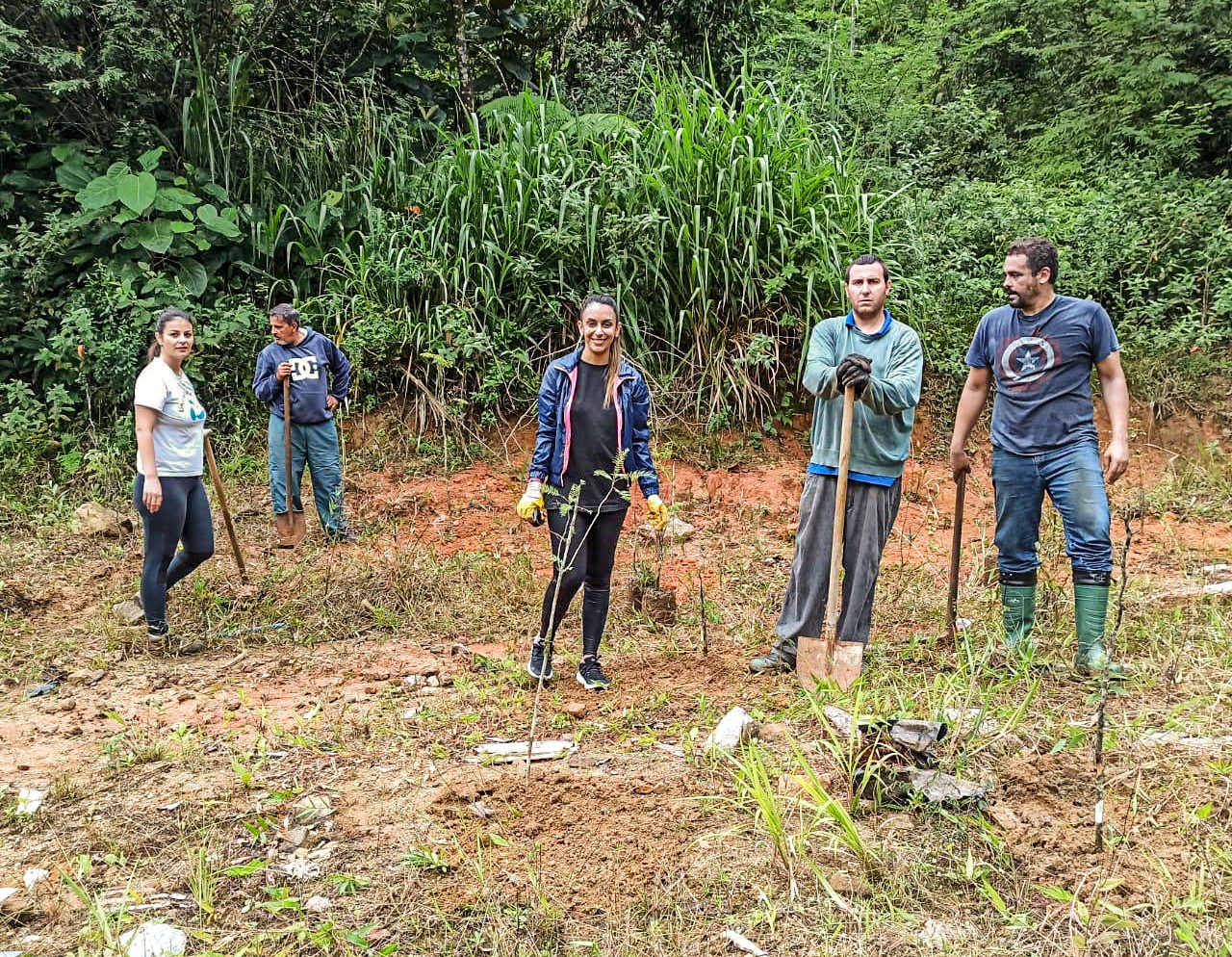 Cogemas Brusque realiza plantação de Ipê e Pau Brasil no Limeira