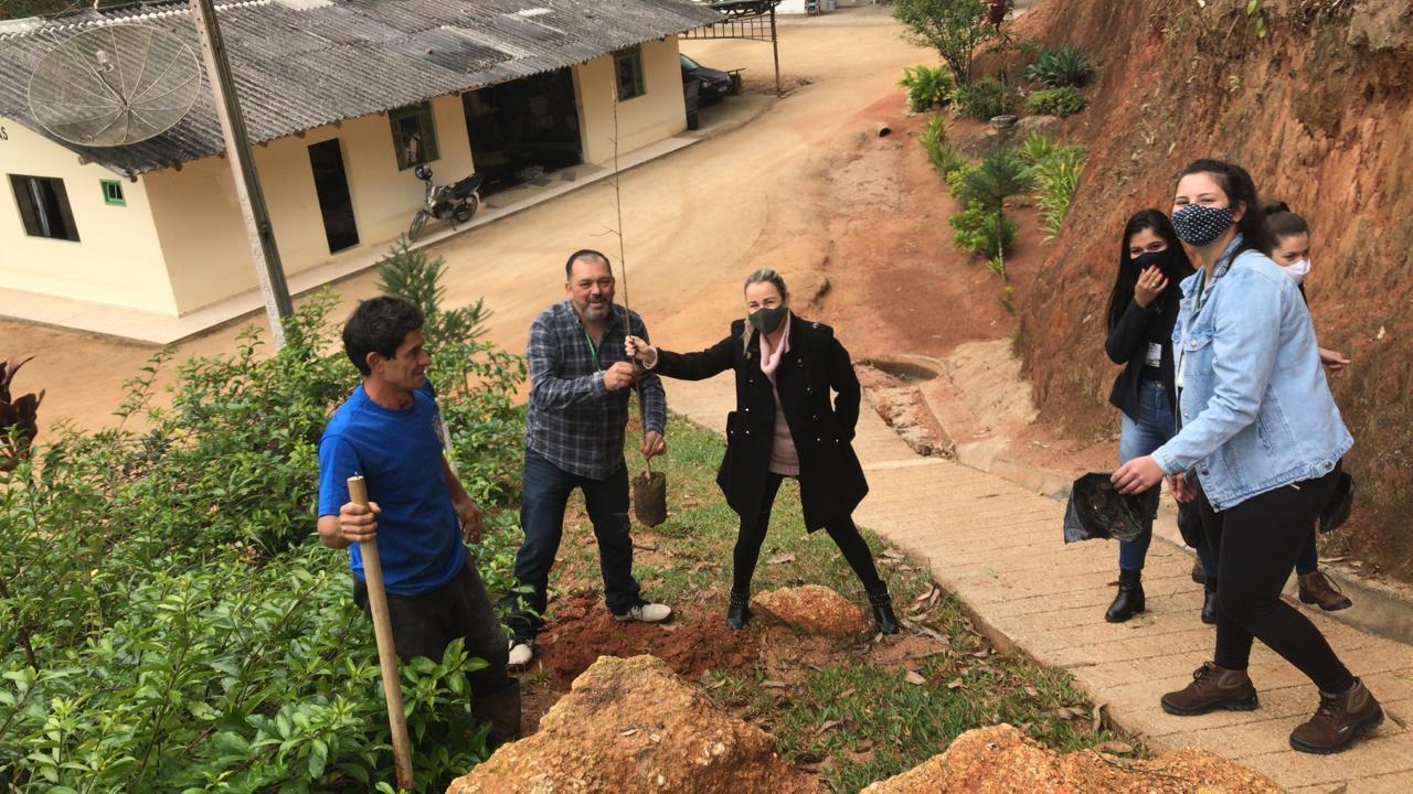 Equipe da Fundema planta árvores nativas