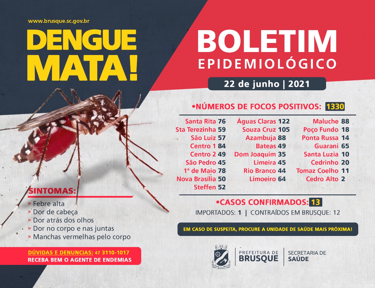 Dengue: Brusque contabiliza 1.330 focos em 2021