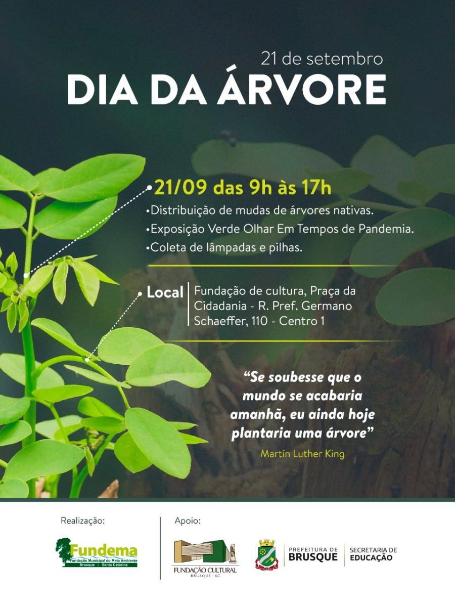 Descida do rio e distribuição de mudas de árvore marca semana alusiva ao Dia da Árvore