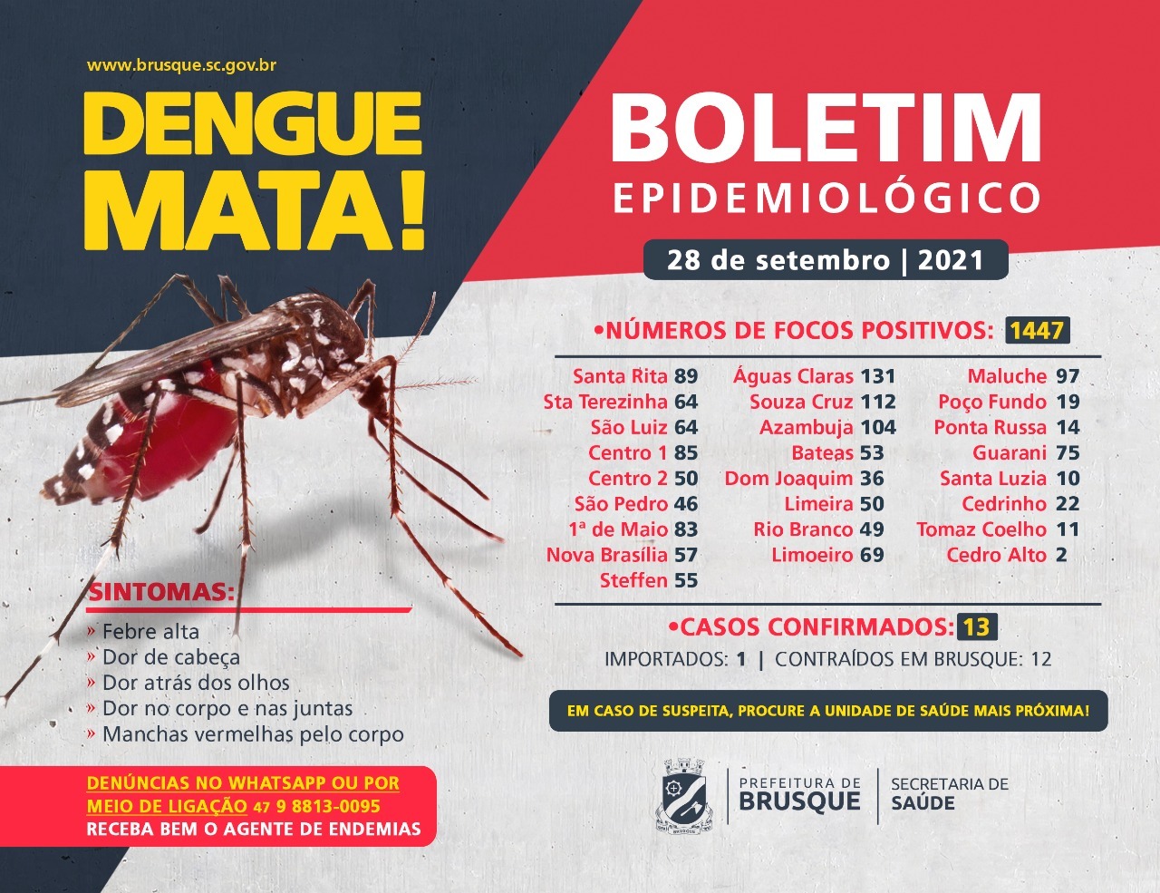 Dengue: focos no ano chegam a 1.447