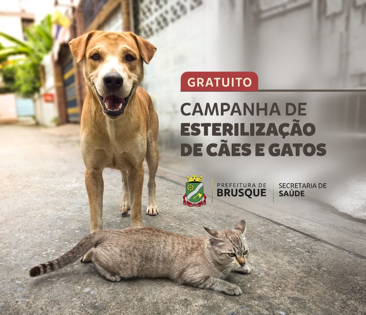 Secretaria de Saúde inicia primeira etapa do Programa Bem Estar Animal