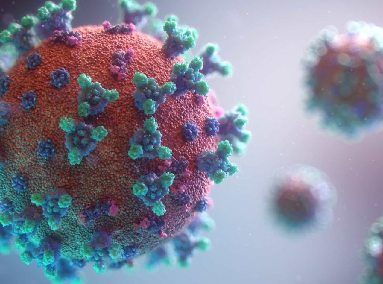 Covid-19: Brusque registra primeiro caso da variante ômicron