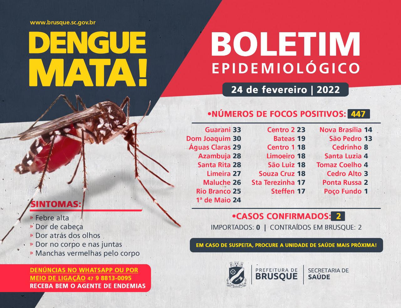 Dengue: focos no ano chegam a 447