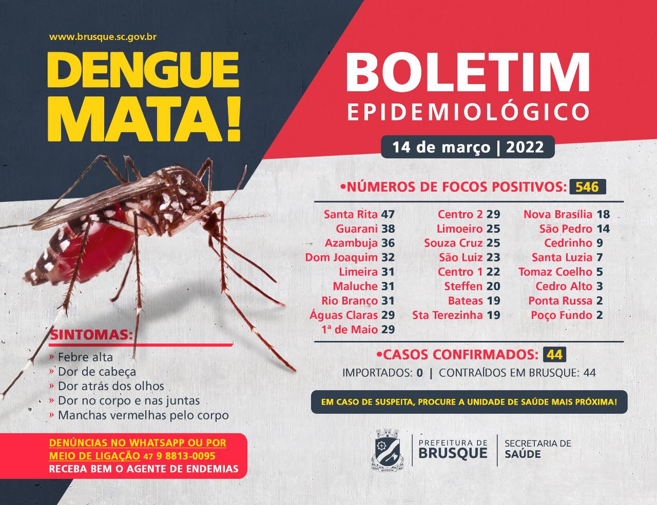 Dengue: focos no ano chegam a 546