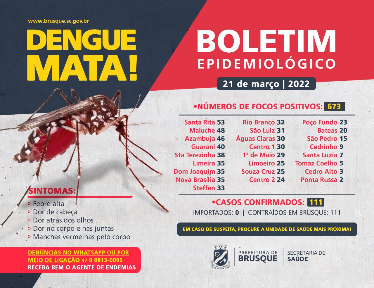 Dengue: focos no ano chegam a 673