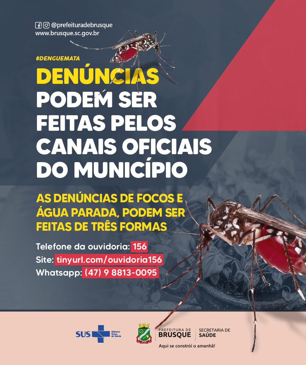 Dengue: Denúncias podem ser feitas pelos canais oficiais do município