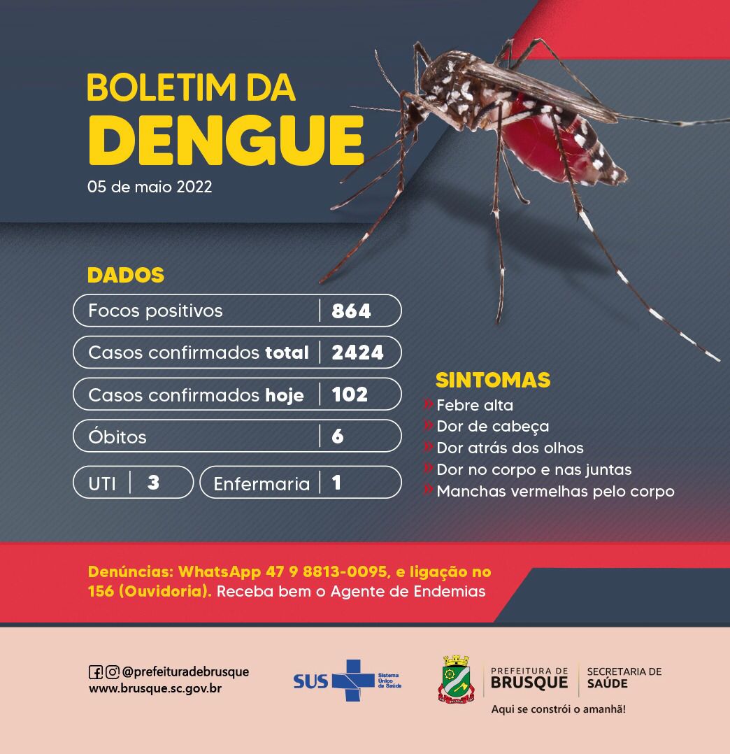Dengue: casos no ano chegam a 2.424