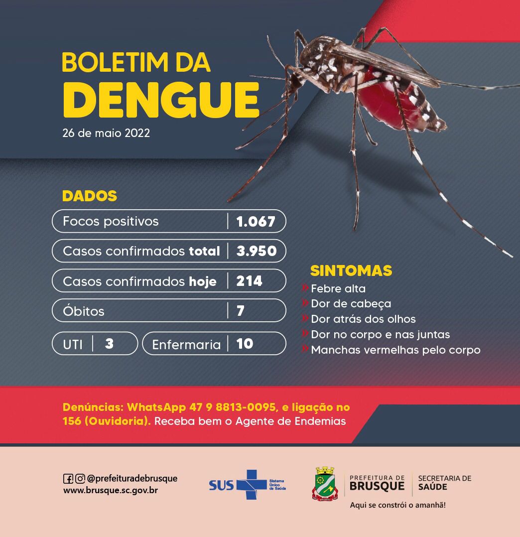 Dengue: casos no ano chegam a 3.950