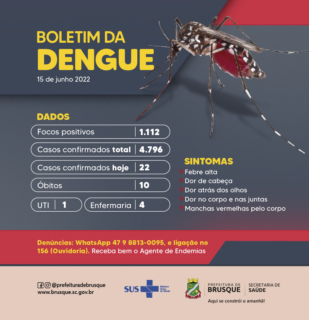 Dengue: casos no ano chegam a 4.796