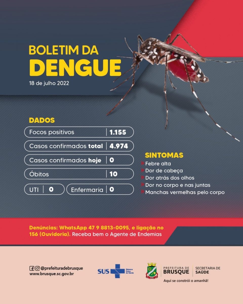 Dengue: Casos no ano chegam a 4.974