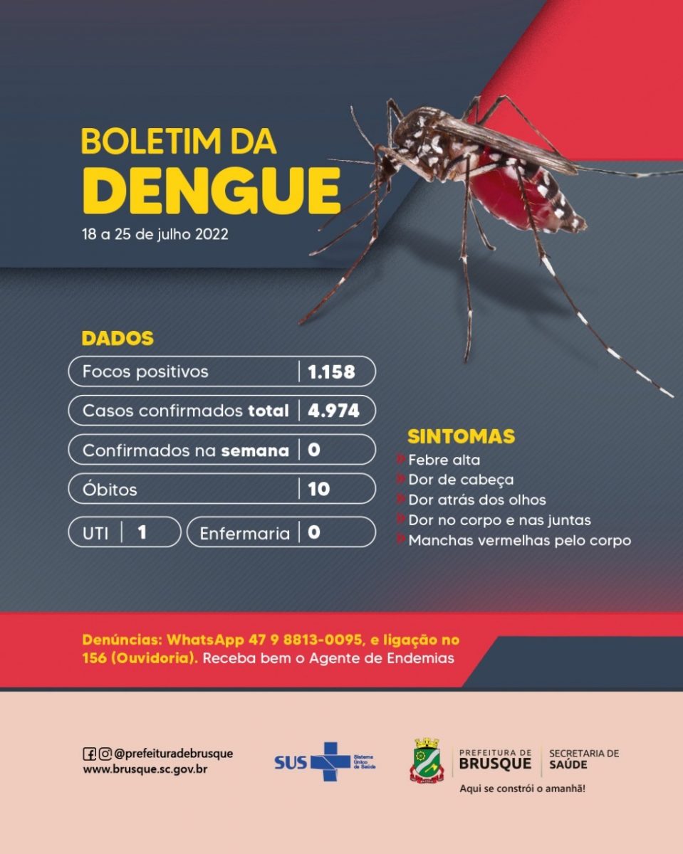 Dengue: Casos no ano chegam a 4.974