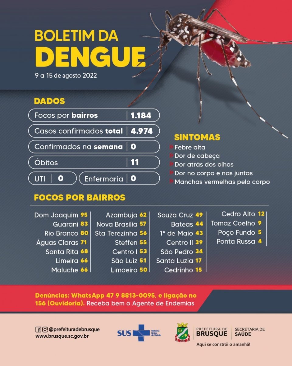 Pela quarta semana consecutiva nenhum novo caso de dengue foi registrado em Brusque
