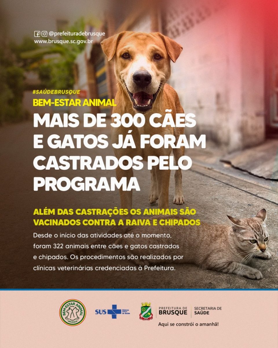 Mais de 300 cães e gatos já foram castrados pelo programa Bem-Estar Animal