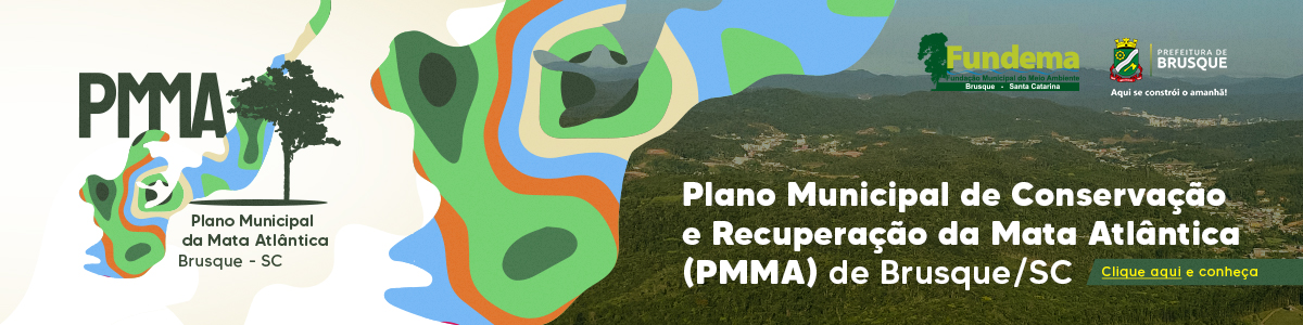 PMMA