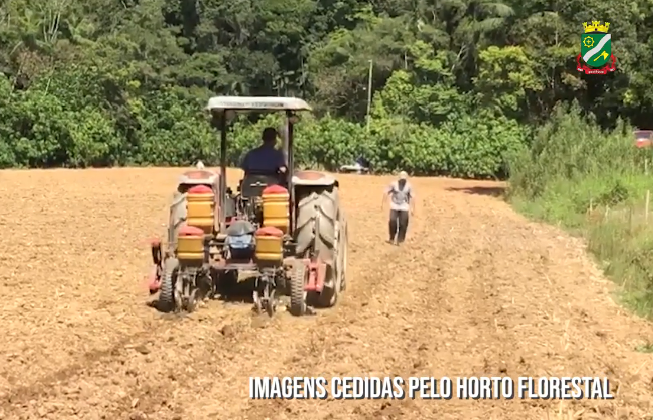 Agricultura atende mais de 500 famílias