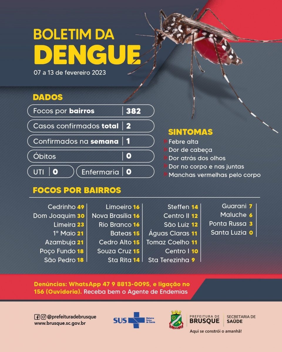 Dengue: Brusque registra dois casos em 2023