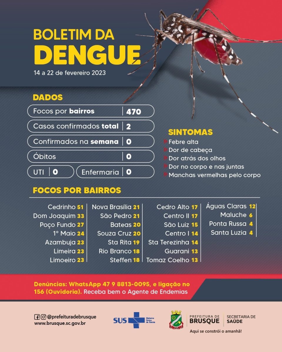 Dengue: Brusque permanece com dois casos em 2023