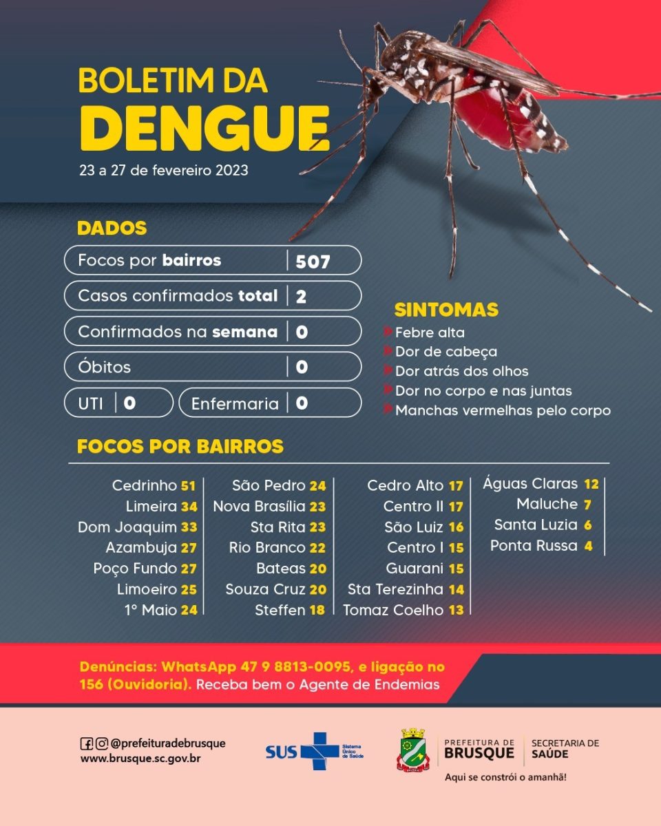 Dengue: Brusque permanece com dois casos em 2023