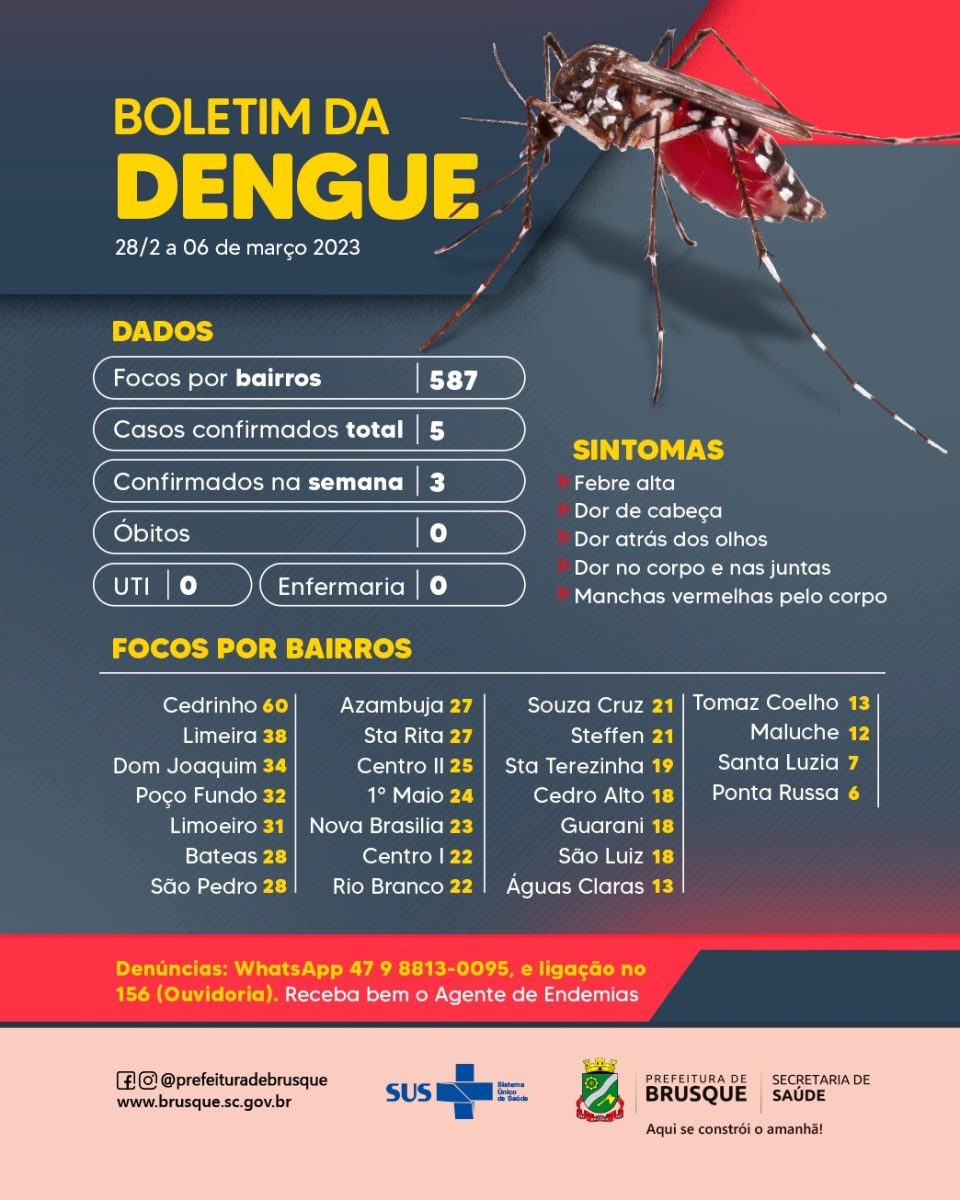 Dengue: Brusque tem cinco casos confirmados em 2023
