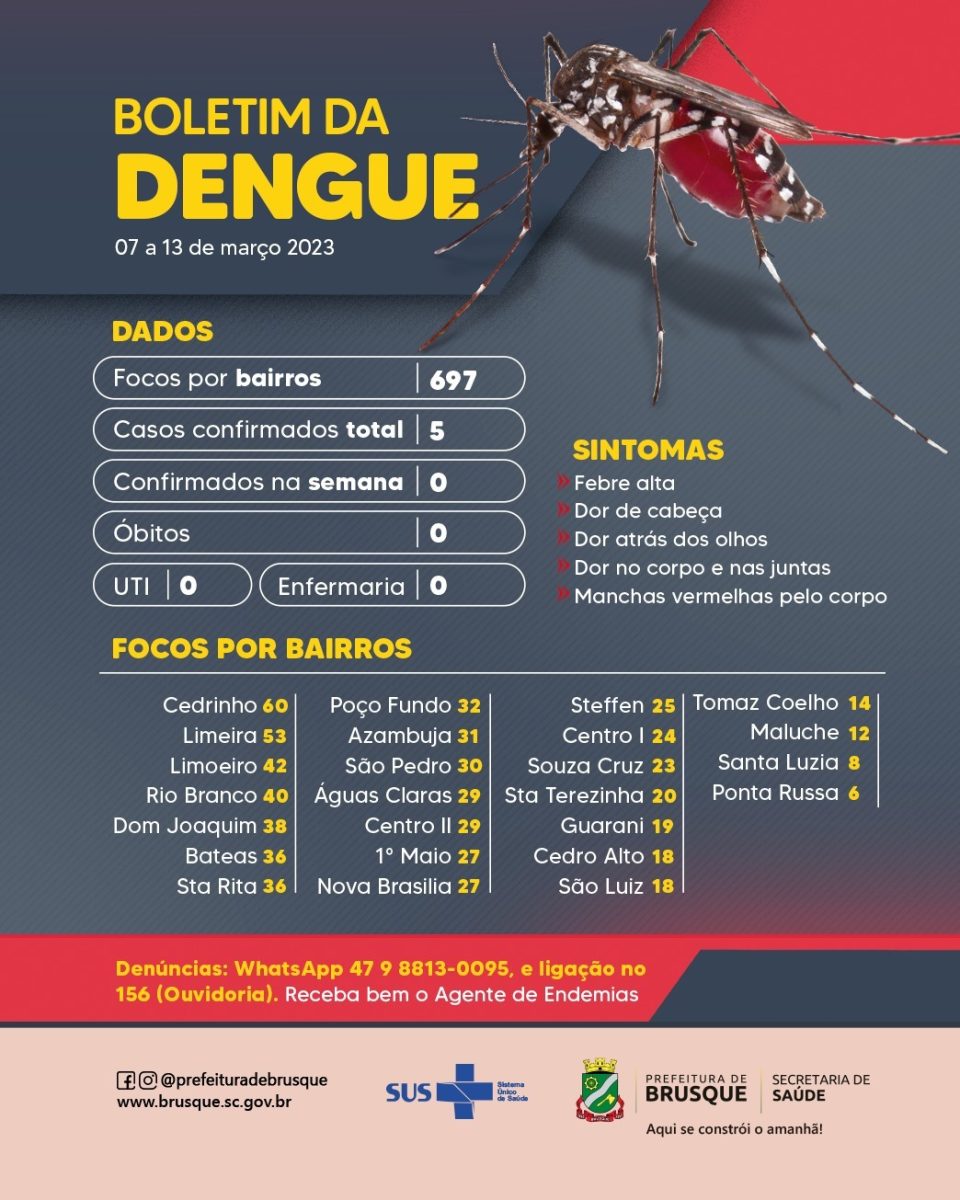 Dengue: Casos confirmados no ano em Brusque permanecem em cinco