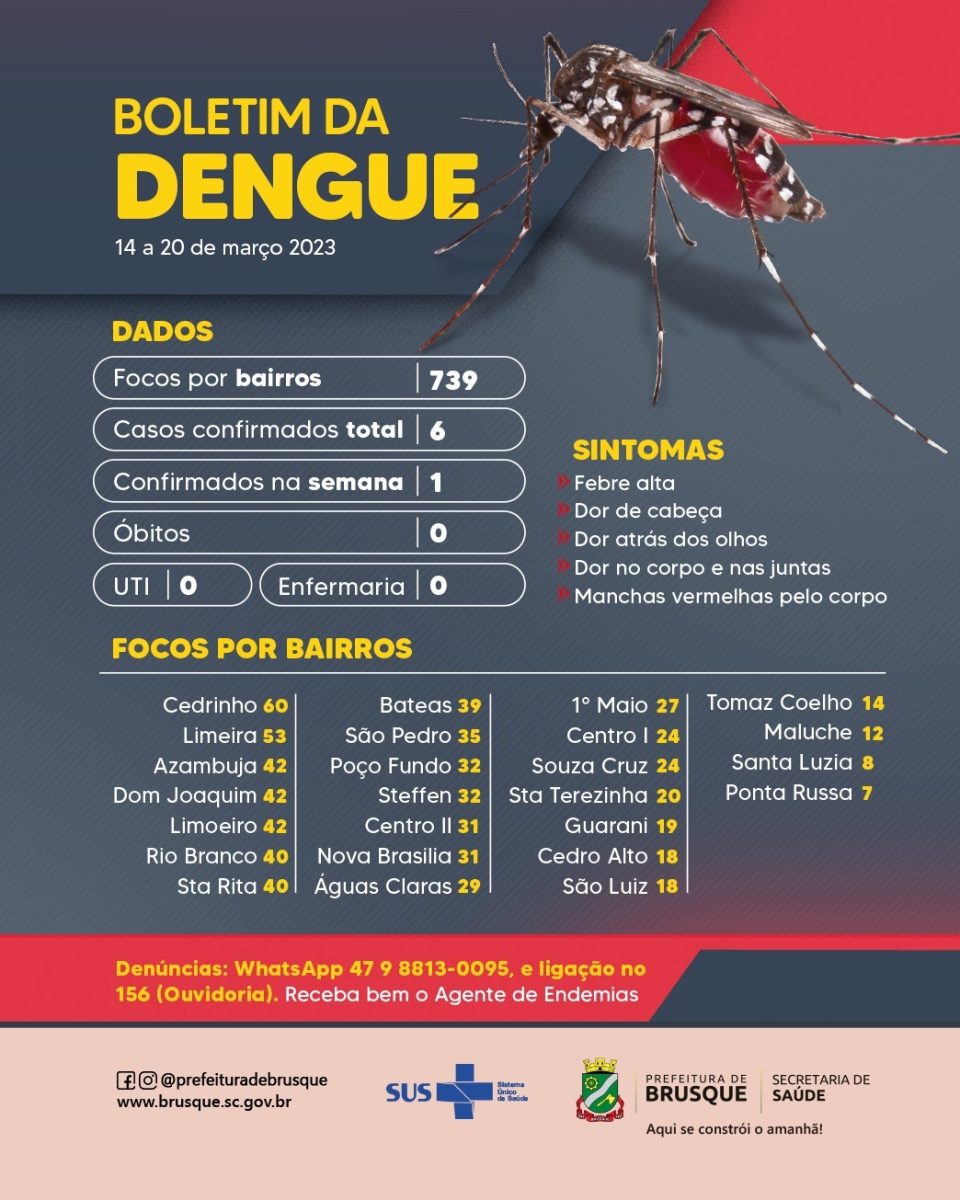 Dengue: Brusque chega ao 6º caso no ano
