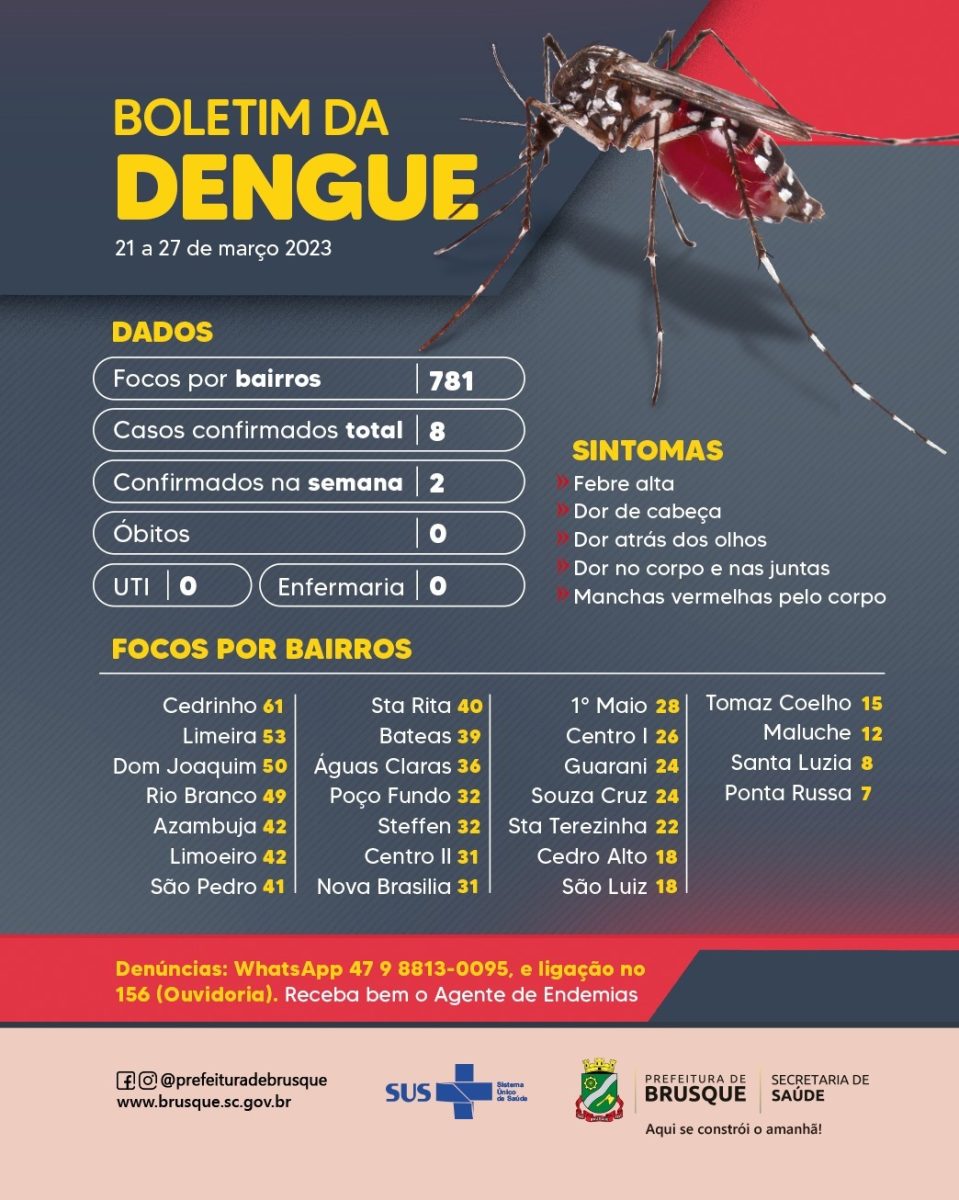 Dengue: Última semana registra mais dois casos em Brusque
