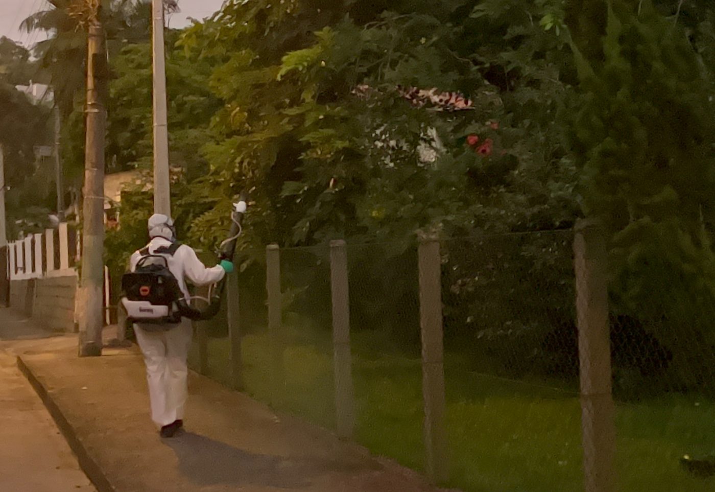 Dengue: Pulverização de quinta-feira, à tarde, ocorre nos bairros Limeira e São Luiz