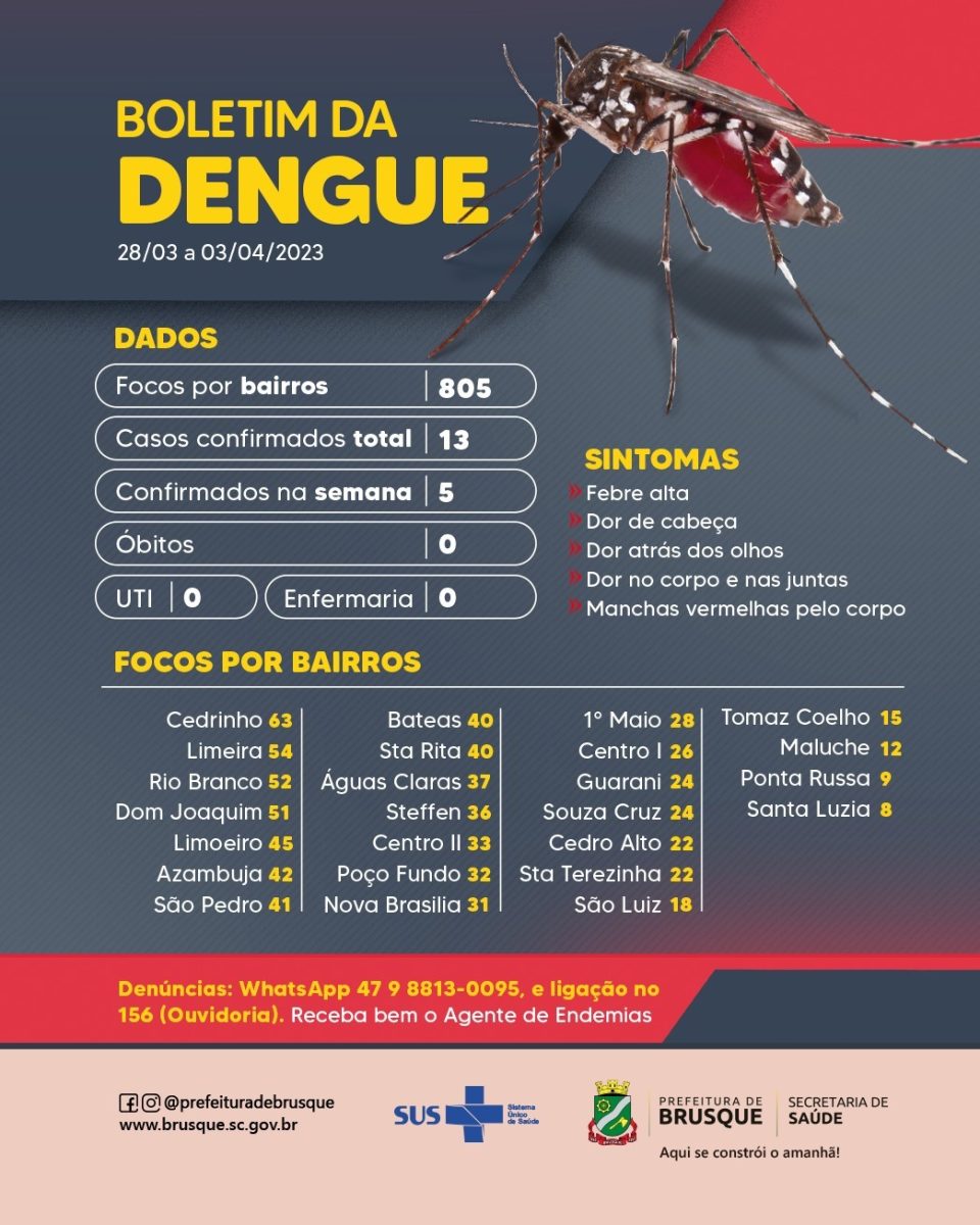 Dengue: Última semana registra mais cinco casos em Brusque