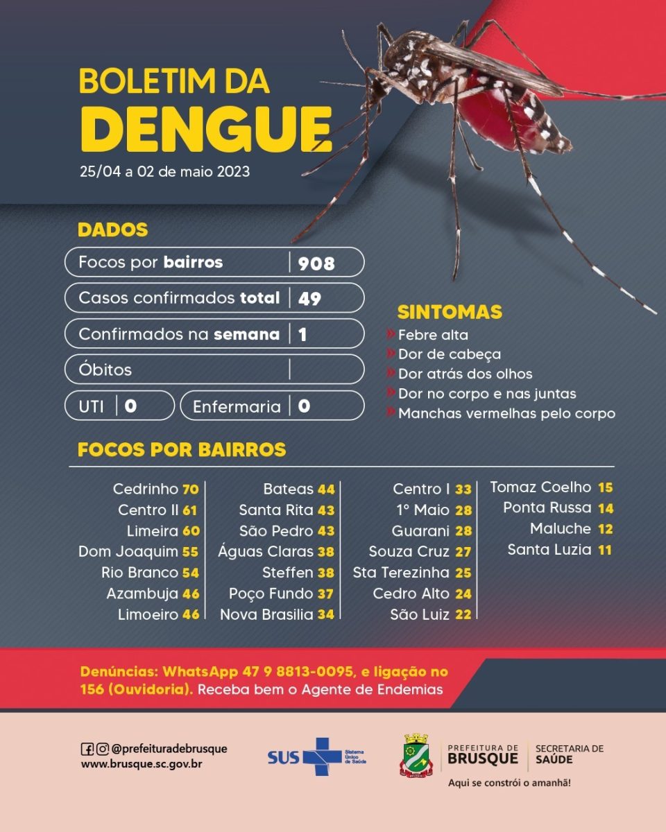 Dengue: Brusque chega a 49 casos confirmados no ano
