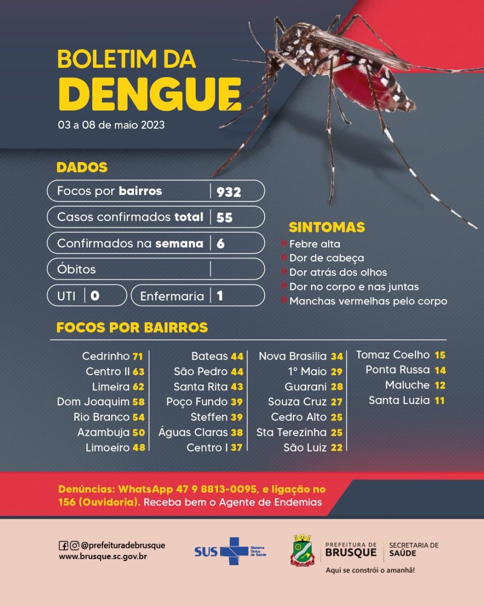 Dengue: Brusque chega a 55 casos confirmados no ano