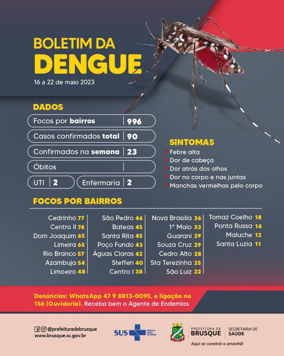 Dengue: Brusque chega a 90 casos confirmados no ano