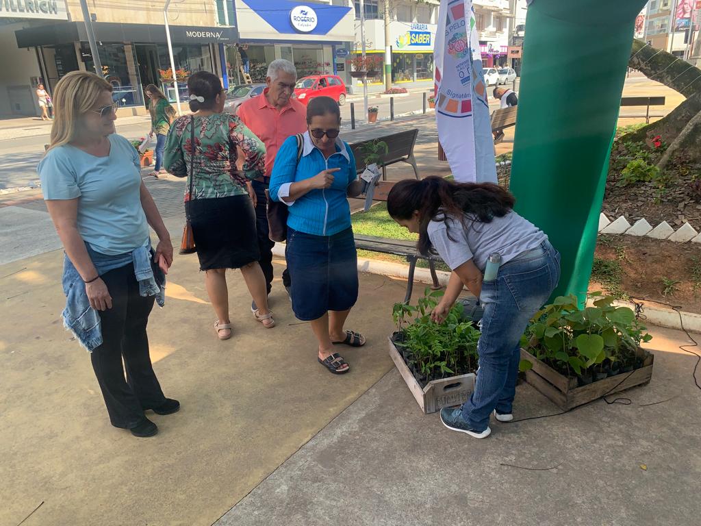 Samae e Fundema distribuem mudas de árvores e flores