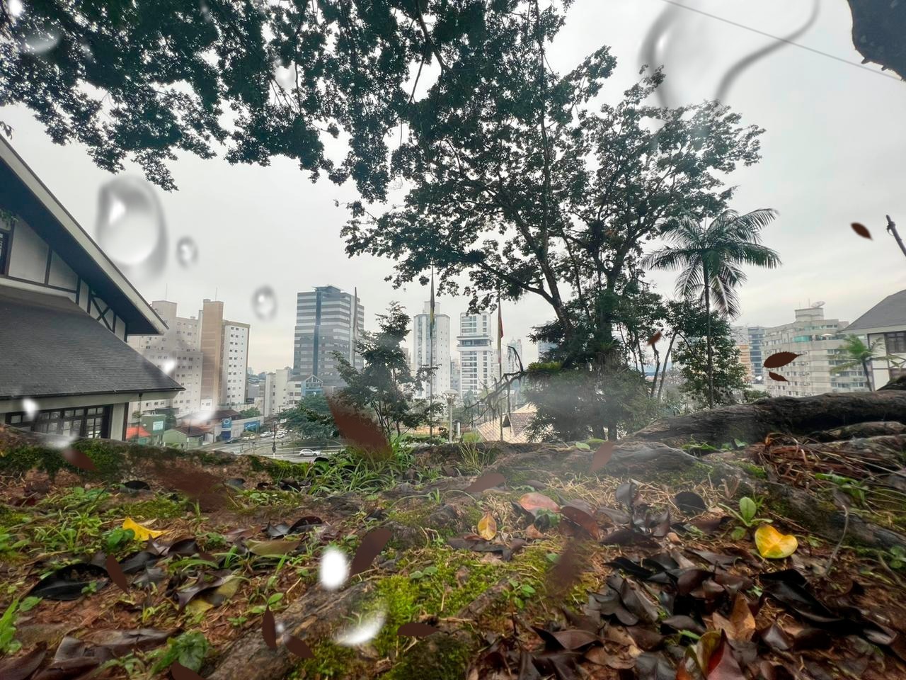 Aviso meteorológico: Temporais com chuva intensa e volumosa entre sexta-feira (27) e domingo (29)