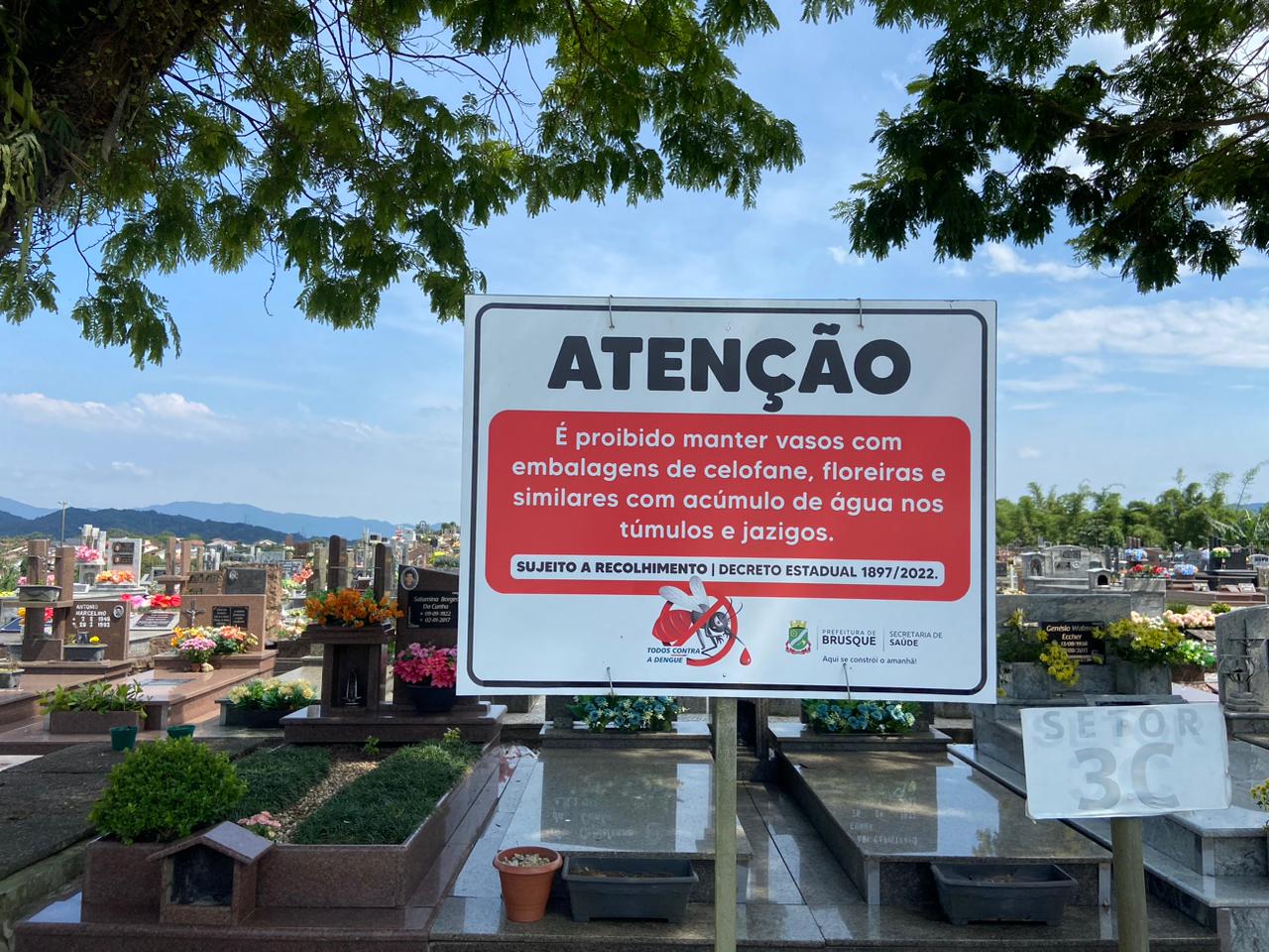 Finados: confira cuidados para evitar a proliferação da dengue no feriado