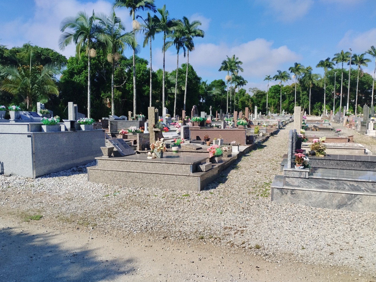Trabalhos avançam para revitalização do Cemitério Municipal Parque da Saudade