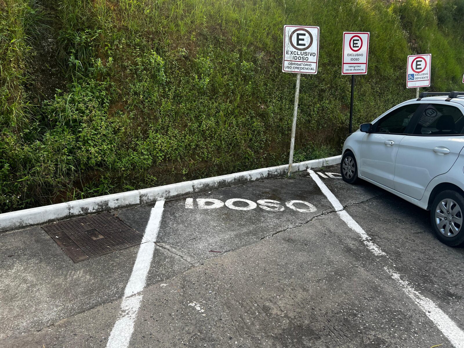 Saiba como tirar a credencial para as vagas de estacionamento destinadas aos idosos